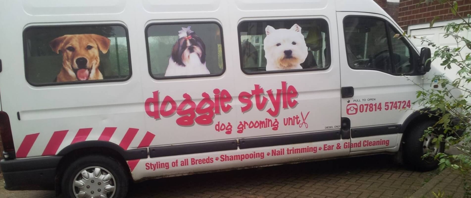 Friendly Mobile Dog Grooming Service in 